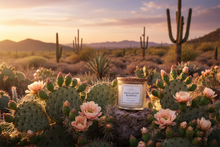 Load image into Gallery viewer, Baja Cactus Blossom 