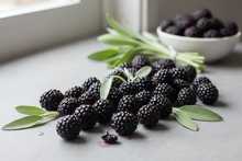 Load image into Gallery viewer, Blackberry Sage