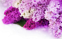 Load image into Gallery viewer, LOTION Goats Milk Creamy Lotion Paraben Free (170 Scents!) 8oz
