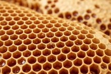 Load image into Gallery viewer, honeycomb