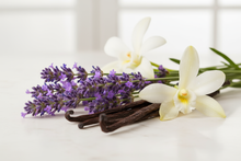 Load image into Gallery viewer, lavender vanilla