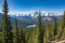 Load image into Gallery viewer, mountain pine