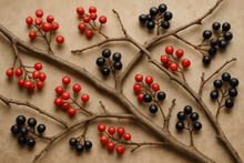 Load image into Gallery viewer, twigs and berries