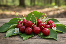 Load image into Gallery viewer, Wild Cherry