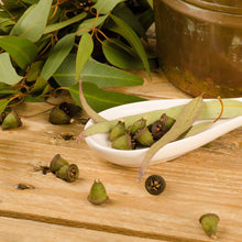 Load image into Gallery viewer, ROOM SPRAY Large 8oz Scented Fragrance Air Freshener  150 Scents (List 2 of 2)