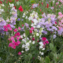 Load image into Gallery viewer, ROOM SPRAY Large 8oz Scented Fragrance Air Freshener  150 Scents (List 2 of 2)